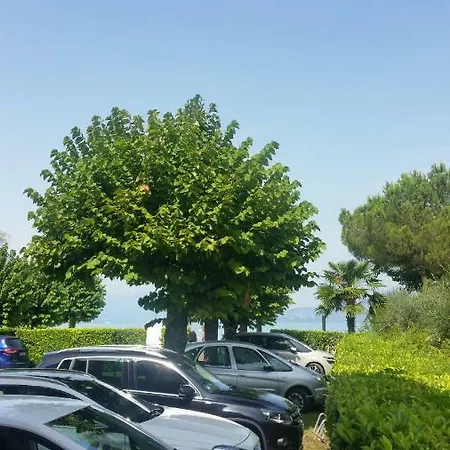 Laguna